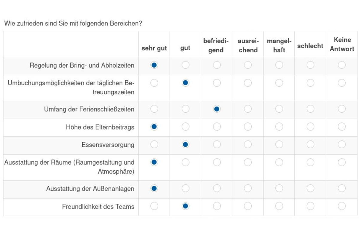 Ausschnitt des Online-Fragebogens