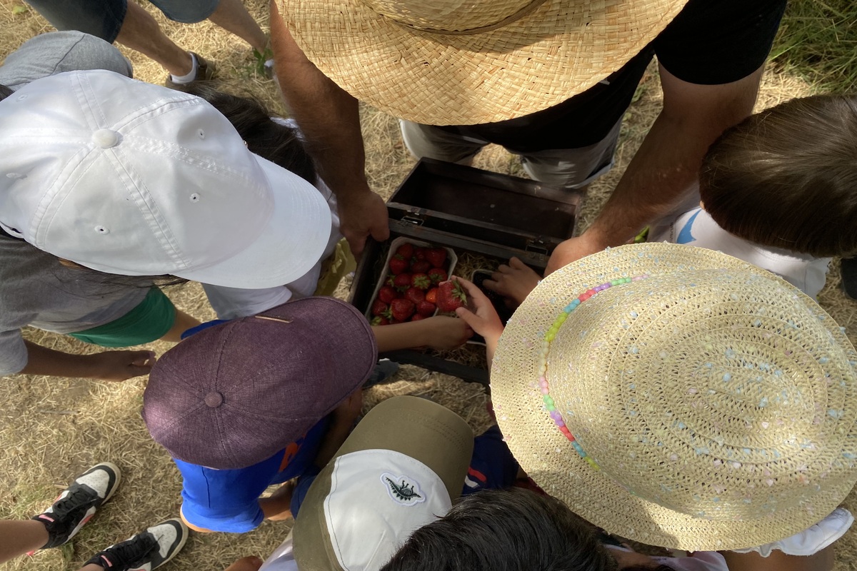 Kinder beugen sich über einen Korb mit Beeren.