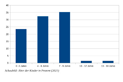 Grafik zeigt die Anzahl dr Kinder pro Familie: 48 Familien mit einem Kind, 11 Familien mit zwei Kindern, 3 Familien mit 3 Kindern