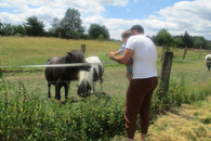 Ein Mann trägt ein kleines Kind auf dem Arm. Sie blicken auf eine eingezäunte Wiese mit zwei Ponys.