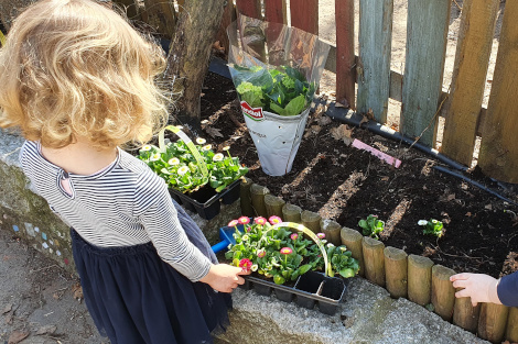 Ein Kind steht vor einem Blumenbeet und bepflanzt es