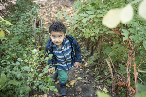 Auf dem Hügel im Garten (Foto: Tanja Elm)