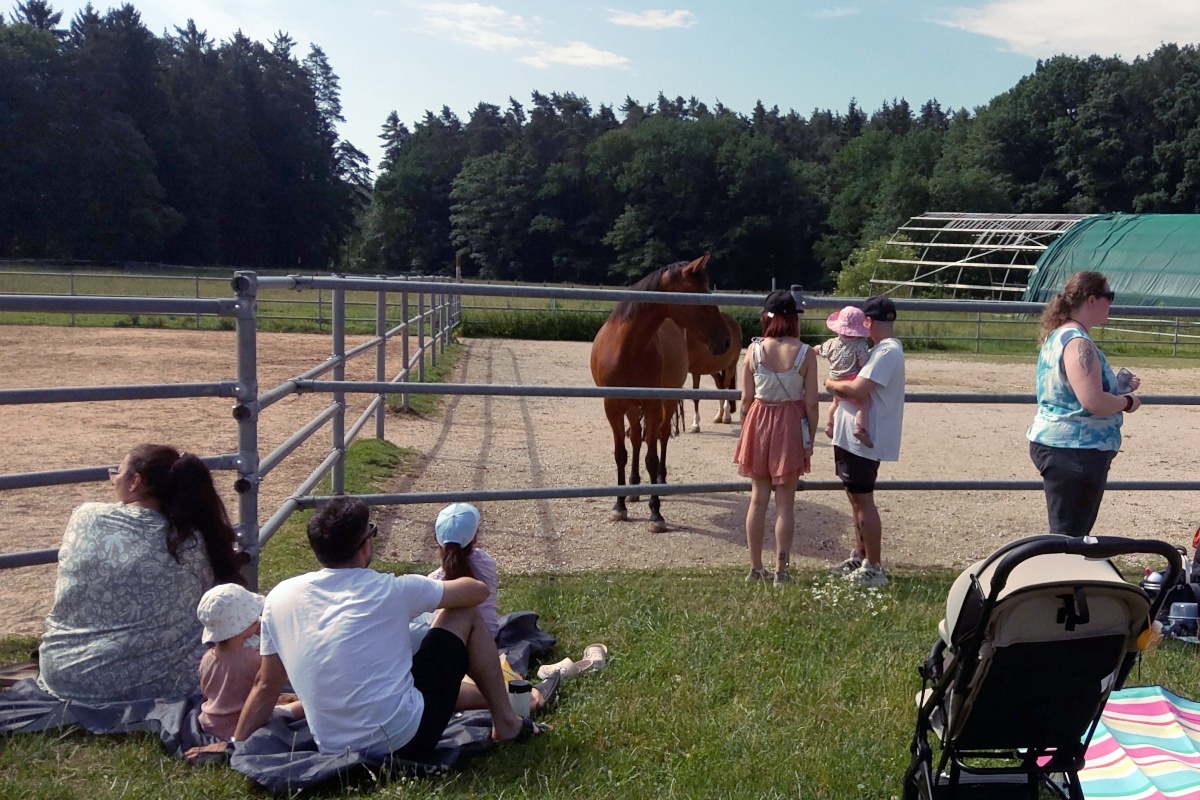 Mehrere Eltern stehen und sitzen mit ihren Kindern vor einem Pferdegehege in einer ländlichen Gegend bei schönem Wetter.