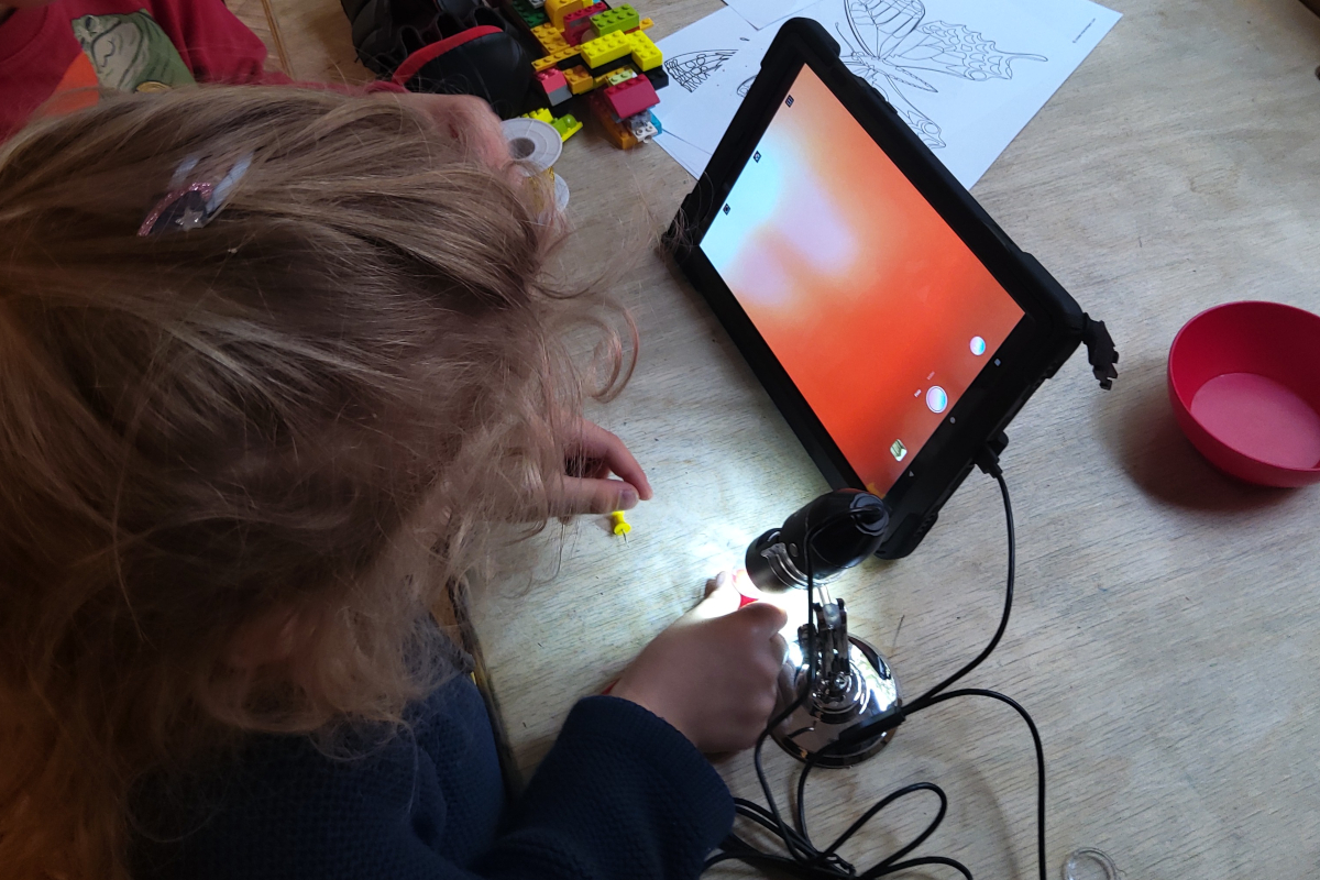 Ein Kind hält etwas unter ein Mikroskop und schaut es auf einem Tablet an.