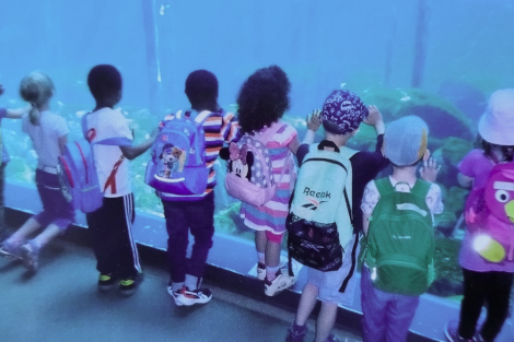 Eine Gruppe Kinder steht mit dem Rücken zur Kamera vor der großen Glasscheibe eines Aquariums und schaut ins Wasser.