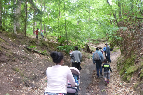 Eine Gruppe von Kindern und Erwachsenen läuft einen Waldweg entlang.