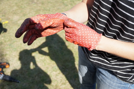 Zwei Frauenhände mit rot-weiß-gepunkteten Arbeitshandschuhen. 