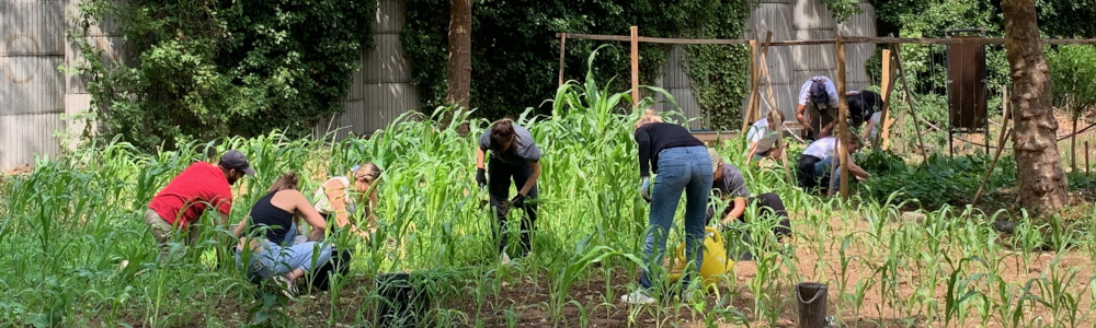 Einsatzteam im Garten Einsatzteam im Garten