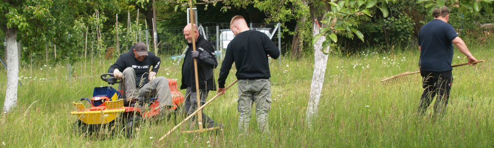 Männergruppe arbeitet in einer Streuobstwiese