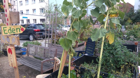 Ein selbstgemachtes Holzschild mit der Aufschrift 'Eden' weist in einen Garten mit zahlreichen Hochbeeten. Im Hintergrund steht ein BAuzaun, der den Garten gegenüber einem Parkplatz abgrenzt.